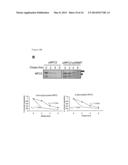 Using GNMT as a Novel Therapeutic or Preventing Agent for Fatty Liver     Related Diseases diagram and image