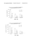 METHODS OF TREATING CENTRAL NERVOUS SYSTEM ISCHEMIC OR HEMORRHAGIC INJURY     USING ANTI ALPHA4 INTEGRIN ANTAGONISTS diagram and image