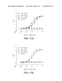 Multispecific Antibody Targeting and Multivalency Through Modular     Recognition Domains diagram and image