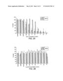 Synthetic scFv Analogue To The 6313/G2 (Anti Angiotensin II Type 1     Receptor) Monoclonal Antibody Variable Regions diagram and image