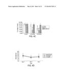 Synthetic scFv Analogue To The 6313/G2 (Anti Angiotensin II Type 1     Receptor) Monoclonal Antibody Variable Regions diagram and image