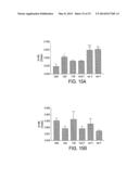 Synthetic scFv Analogue To The 6313/G2 (Anti Angiotensin II Type 1     Receptor) Monoclonal Antibody Variable Regions diagram and image