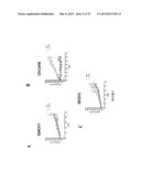 METHODS, SYSTEMS AND PRODUCTS FOR PREDICTING RESPONSE OF TUMOR CELLS TO A     THERAPEUTIC AGENT AND TREATING A PATIENT ACCORDING TO THE PREDICTED     RESPONSE diagram and image