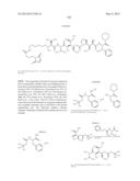 Novel Binder-Drug Conjugates (ADCs) and Use of Same diagram and image