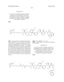 Novel Binder-Drug Conjugates (ADCs) and Use of Same diagram and image