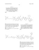 Novel Binder-Drug Conjugates (ADCs) and Use of Same diagram and image