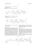 Novel Binder-Drug Conjugates (ADCs) and Use of Same diagram and image