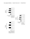 SPANX-B POLYPEPTIDES AND THEIR USE diagram and image