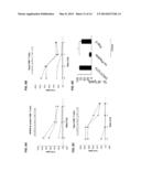 SPANX-B POLYPEPTIDES AND THEIR USE diagram and image