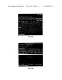 Membrane diagram and image