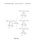 SELF-REPAIRING CYCLIC OXIDE-SUBSTITUTED CHITOSAN POLYURETHANE NETWORKS diagram and image