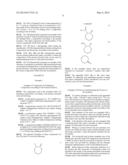 Caprolactam-Based Composition, Process for Manufacturing an Impermeable     Element, and Tank diagram and image