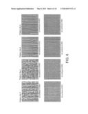 CARBON NANOWALL ARRAY AND METHOD FOR MANUFACTURING CARBON NANOWALL diagram and image