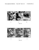 ELECTRODE AND ELECTRICAL STORAGE DEVICE FOR LEAD-ACID SYSTEM diagram and image