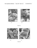 ELECTRODE AND ELECTRICAL STORAGE DEVICE FOR LEAD-ACID SYSTEM diagram and image