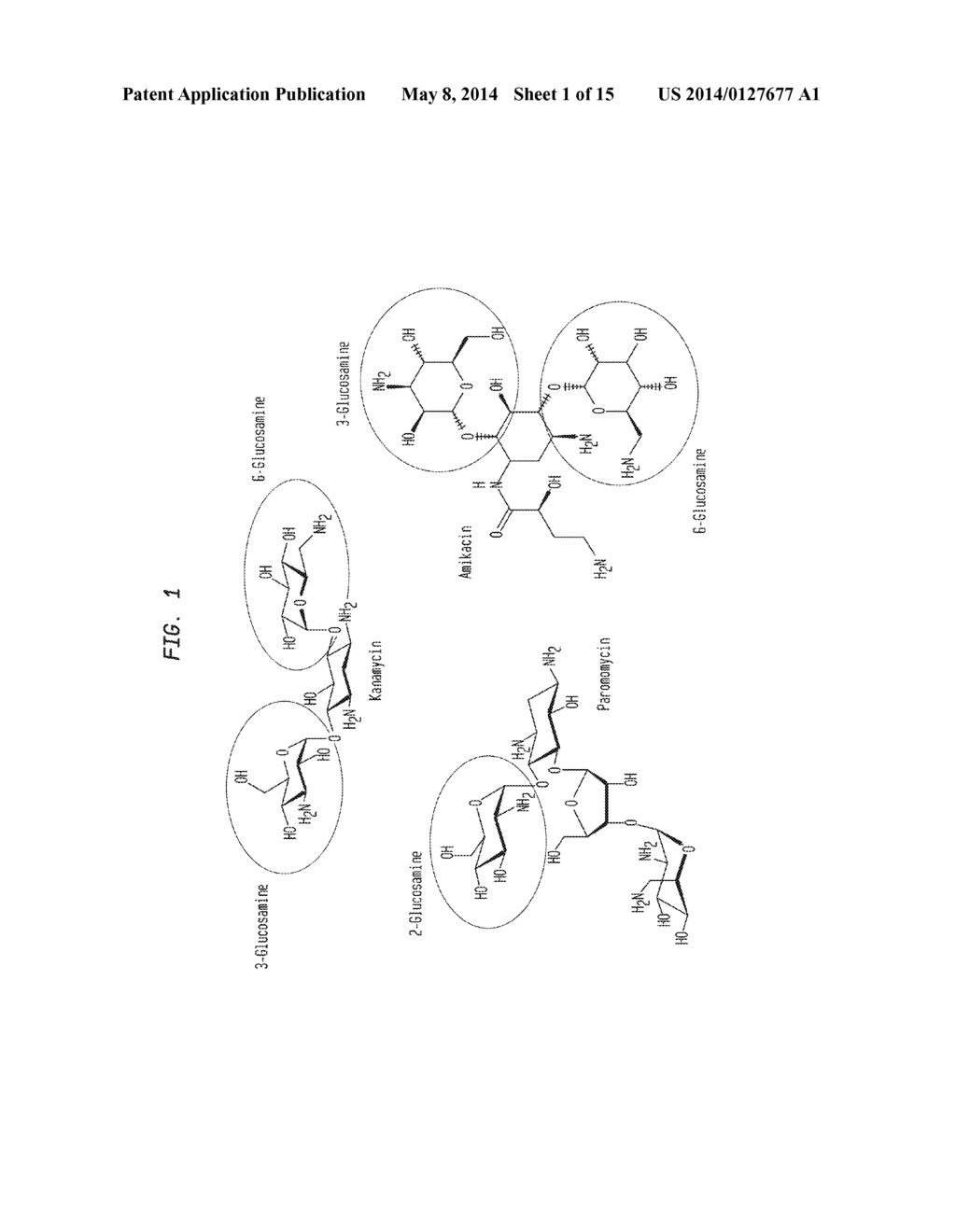 Compositions and Methods for the Transfer of a Hexosamine to a Modified     Nucleotide in a Nucleic Acid - diagram, schematic, and image 02