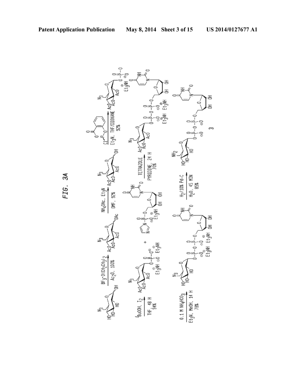 Compositions and Methods for the Transfer of a Hexosamine to a Modified     Nucleotide in a Nucleic Acid - diagram, schematic, and image 04