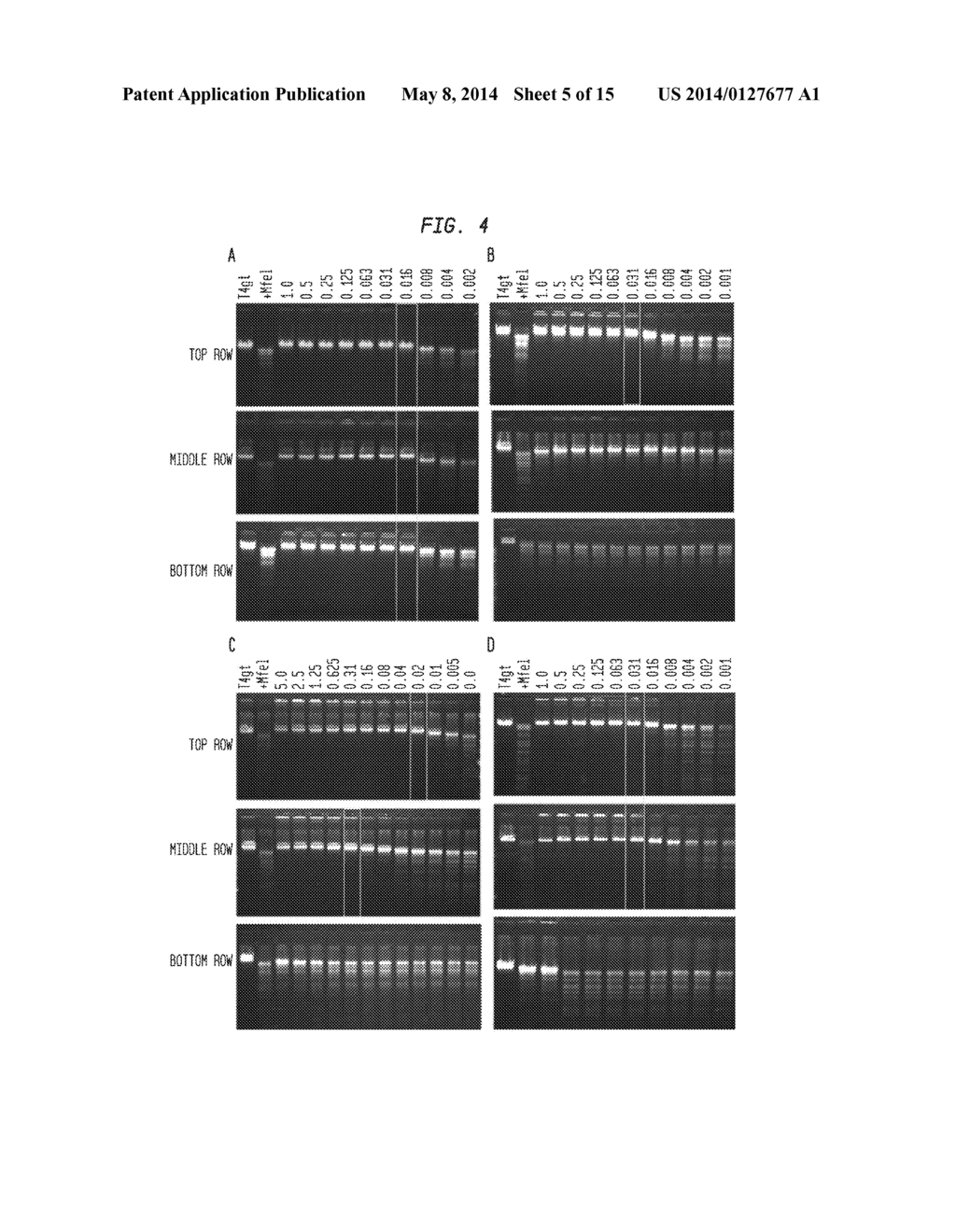 Compositions and Methods for the Transfer of a Hexosamine to a Modified     Nucleotide in a Nucleic Acid - diagram, schematic, and image 06