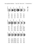 Mutation Signatures for Predicting the Survivability of Myelodysplastic     Syndrome Subjects diagram and image