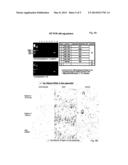 Method for Diagnosing Preeclampsia diagram and image