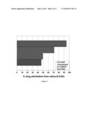 METHODS OF IDENTIFYING HSP90 INHIBITORS WITH LESS OCULAR TOXICITY diagram and image