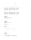 HETEROLOGOUS ALPHA AMYLASE EXPRESSION IN ASPERGILLUS diagram and image