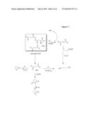 METHODS FOR PREPARATION OF AMMONIUM SALTS OF C4 DIACIDS BY FERMENTAION AND     INTEGRATED METHODS FOR MAKING C4 DERIVATIVES diagram and image