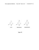 METHOD FOR STABILIZATION OF PROTEINS USING NON-NATURAL AMINO ACIDS diagram and image