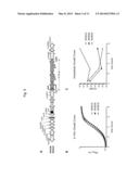 FACULTATIVELY ATTENUATED BACTERIAL SPECIES AND METHODS OF PREPARATION AND     USE THEREOF diagram and image