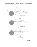 SCAFFOLDED NUCLEIC ACID POLYMER PARTICLES AND METHODS OF MAKING AND USING diagram and image