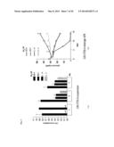 Method for Inducing Dormancy of Cancer Tissue-Derived Cell Mass and Method     for Evaluating Treating Means with the Use of Cancer-Tissue-Derived Cell     Mass diagram and image