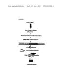 Multiple Interferon and Virus Response Element Cell-Based Fluorescence     System diagram and image