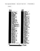 Multiple Interferon and Virus Response Element Cell-Based Fluorescence     System diagram and image