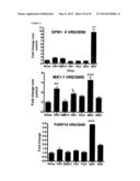 Multiple Interferon and Virus Response Element Cell-Based Fluorescence     System diagram and image