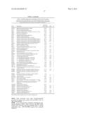 Multiple Interferon and Virus Response Element Cell-Based Fluorescence     System diagram and image