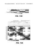 METHODS OF PROMOTING WEIGHT LOSS AND ASSOCIATED ARRAYS diagram and image