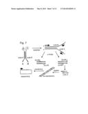 ENCODED SELF-ASSEMBLING CHEMICAL LIBRARIES (ESACHEL) diagram and image