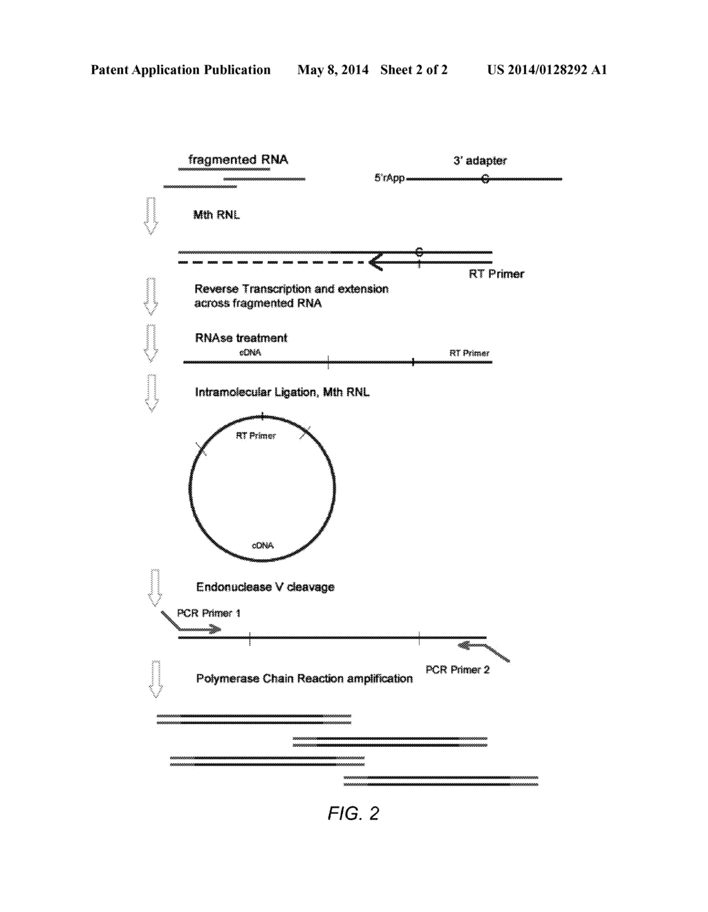 METHODS FOR IMPROVING LIGATION STEPS TO MINIMIZE BIAS DURING PRODUCTION OF     LIBRARIES FOR MASSIVELY PARALLEL SEQUENCING - diagram, schematic, and image 03