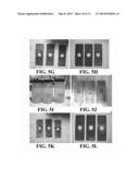 CORROSION INHIBITOR SYSTEMS FOR LOW, MODERATE AND HIGH TEMPERATURE FLUIDS     AND METHODS FOR MAKING AND USING SAME diagram and image