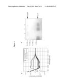 ANTIMICROBIAL PEPTIDES AND USES THEREFORE diagram and image