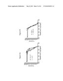 ANTIMICROBIAL PEPTIDES AND USES THEREFORE diagram and image