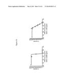 ANTIMICROBIAL PEPTIDES AND USES THEREFORE diagram and image