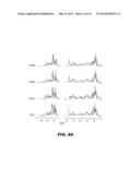 INSULIN ANALOGUES CONTAINING PENTA-FLUORO-PHENYLALANINE AT POSITION B24 diagram and image