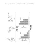 TARGETING AN HIV-1 NEF-HOST CELL KINASE COMPLEX diagram and image