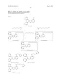 TARGETING AN HIV-1 NEF-HOST CELL KINASE COMPLEX diagram and image