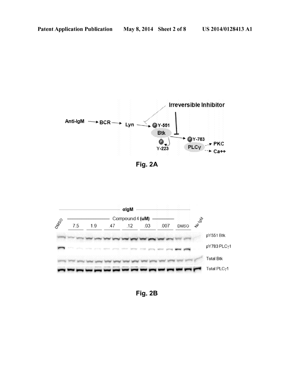 INHIBITORS OF BRUTON'S TYROSINE KINASE - diagram, schematic, and image 03