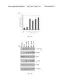 ANAPLASTIC THYROID CANCERS HARBOR NOVEL ONCOGENIC MUTATIONS OF THE ALK     GENE diagram and image