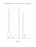 NOVEL NON-PRIMATE HEPACIVIRUS diagram and image