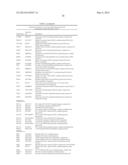 NOVEL NON-PRIMATE HEPACIVIRUS diagram and image