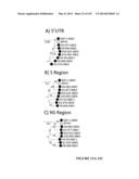 NOVEL NON-PRIMATE HEPACIVIRUS diagram and image